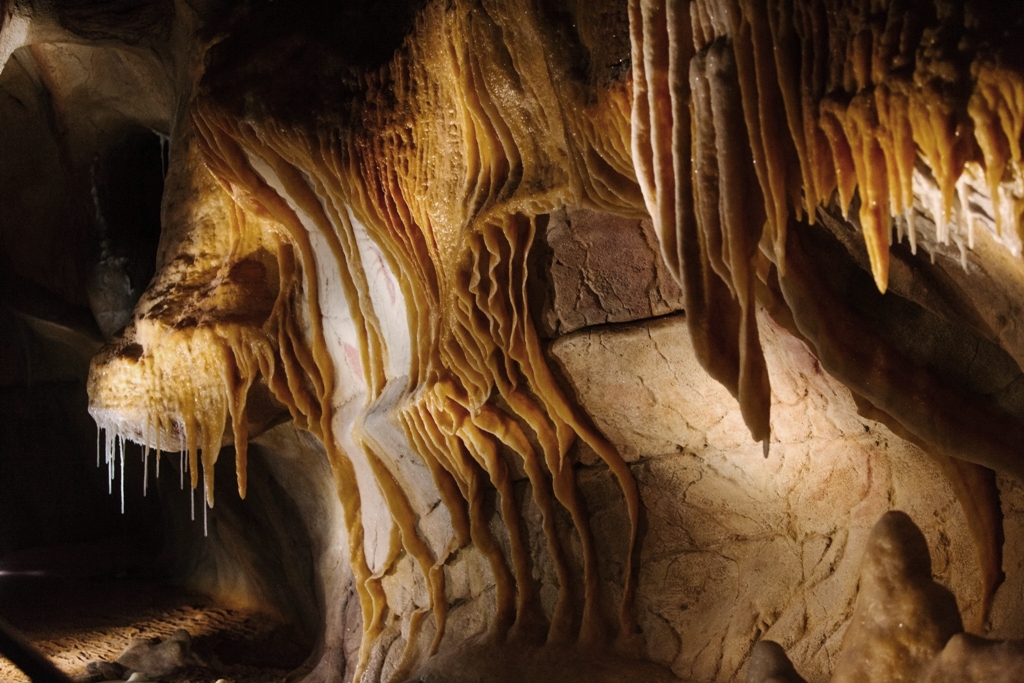 Caverne du Pont d'arc - Réplique de la grotte Chauvet