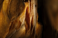 Caverne du Pont d'arc - Réplique de la grotte Chauvet