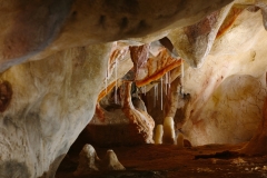 Caverne du Pont d'Arc
Réplique de la grotte Chauvet