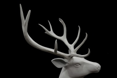 CERF-2