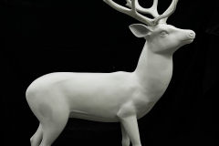 CERF