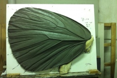 PAPILLON-NICENE-1