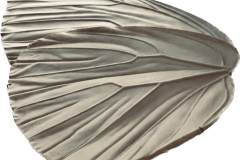 PAPILLON-NICENE-1